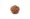 5 Mukhi Rudraksha (Nepali)