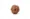 6 Mukhi Rudraksha (Nepali)
